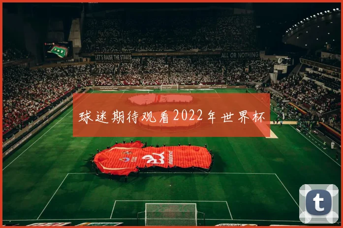 球迷期待观看2022年世界杯