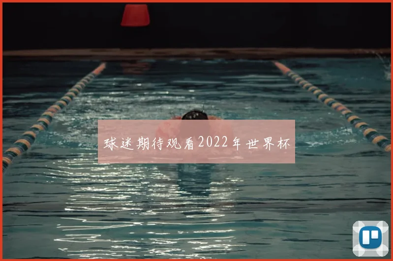 球迷期待观看2022年世界杯