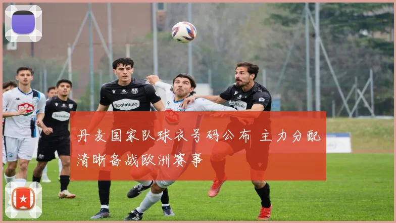 丹麦国家队球衣号码公布 主力分配清晰备战欧洲赛事