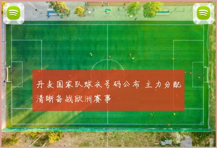 丹麦国家队球衣号码公布 主力分配清晰备战欧洲赛事