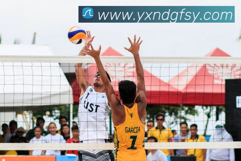 开云手机网页登录网页平台生态图